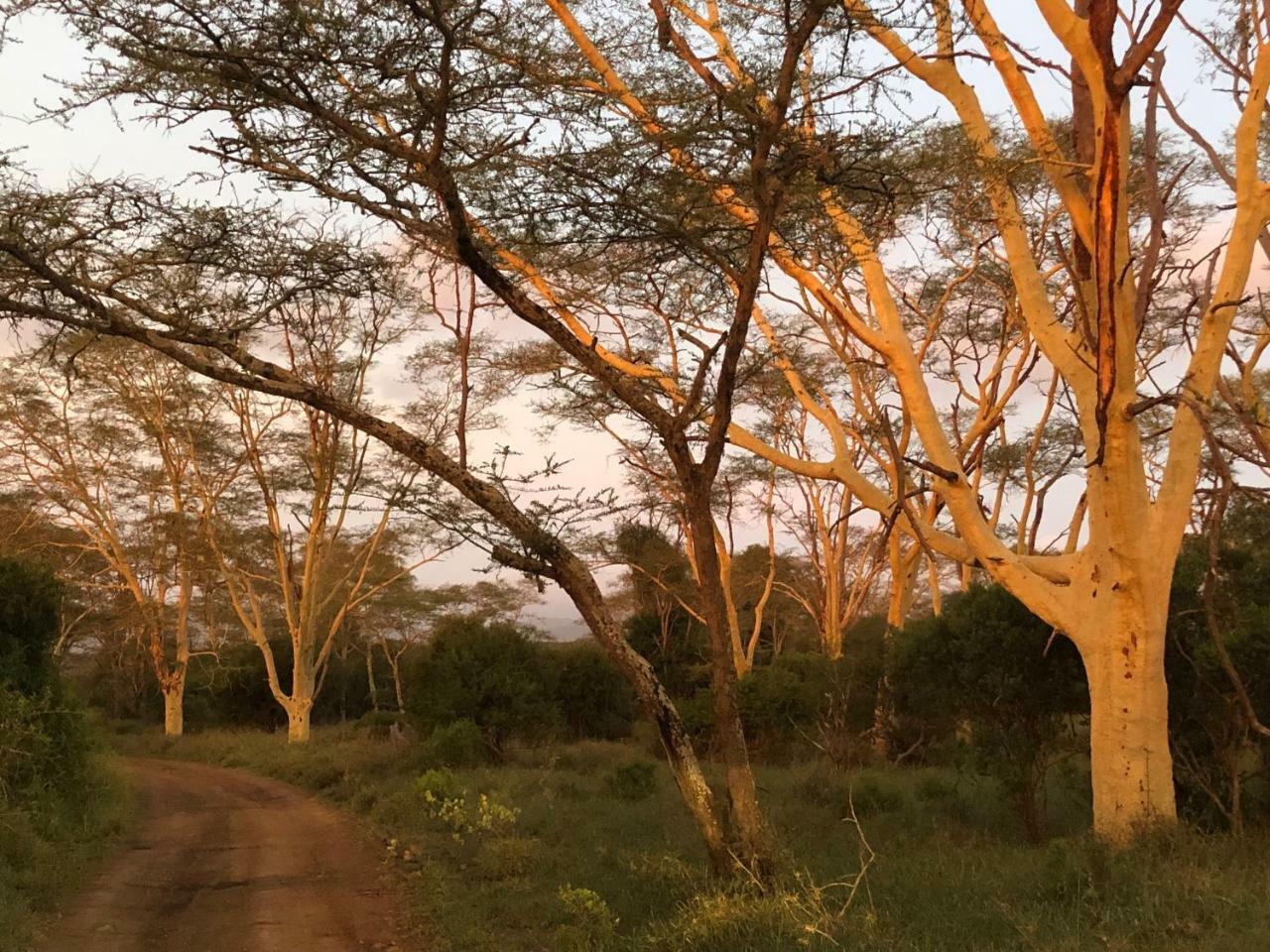 Msunduze River Lodge Mkuze Exteriör bild